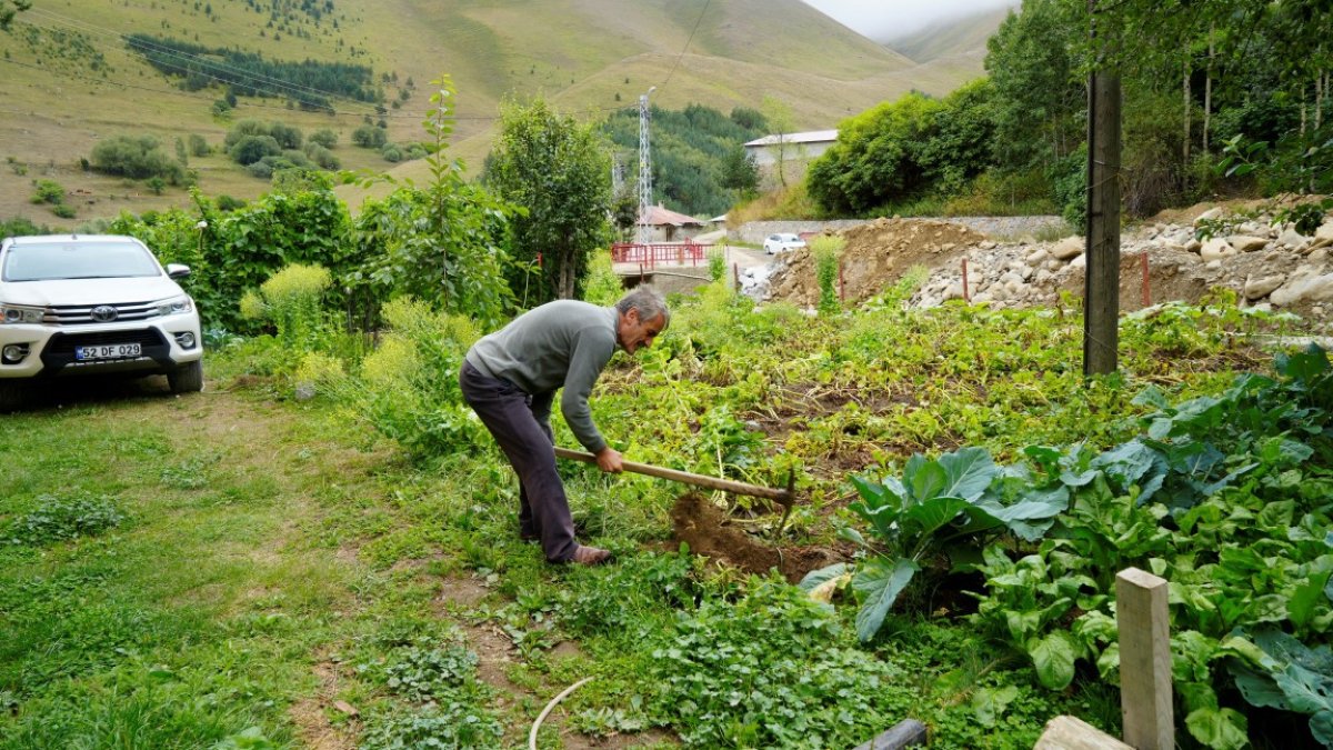 'Burada ağaç yetişmez' dediler o orman yaptı! Tek başına bir köyün kaderini değiştirdi: Yıllarını verdi, bozkırı ormana çevirdi