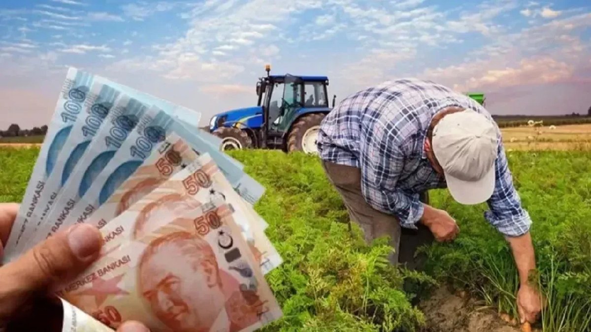 Araziler boş kalmayacak! Tarlalarınız gelir kapısı olsun: Kiralık tarla uygulaması başladı