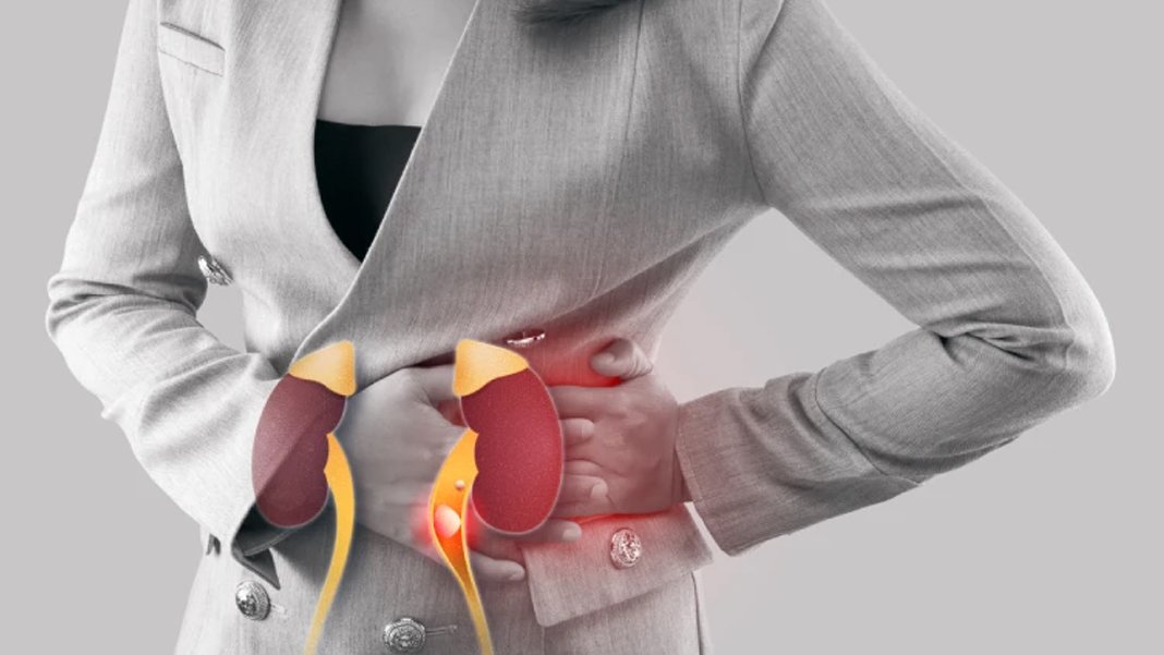 Tıp dünyasında devrim: Böbrekleri koruyan molekül keşfedildi