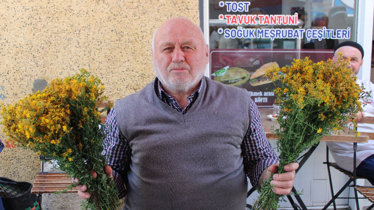 Dağlarda kendiliğinden yetişiyor, pazara indiği gibi bitiyor! Demeti 30 TL’den yok satıyor, yaprağından sapına kadar şifa