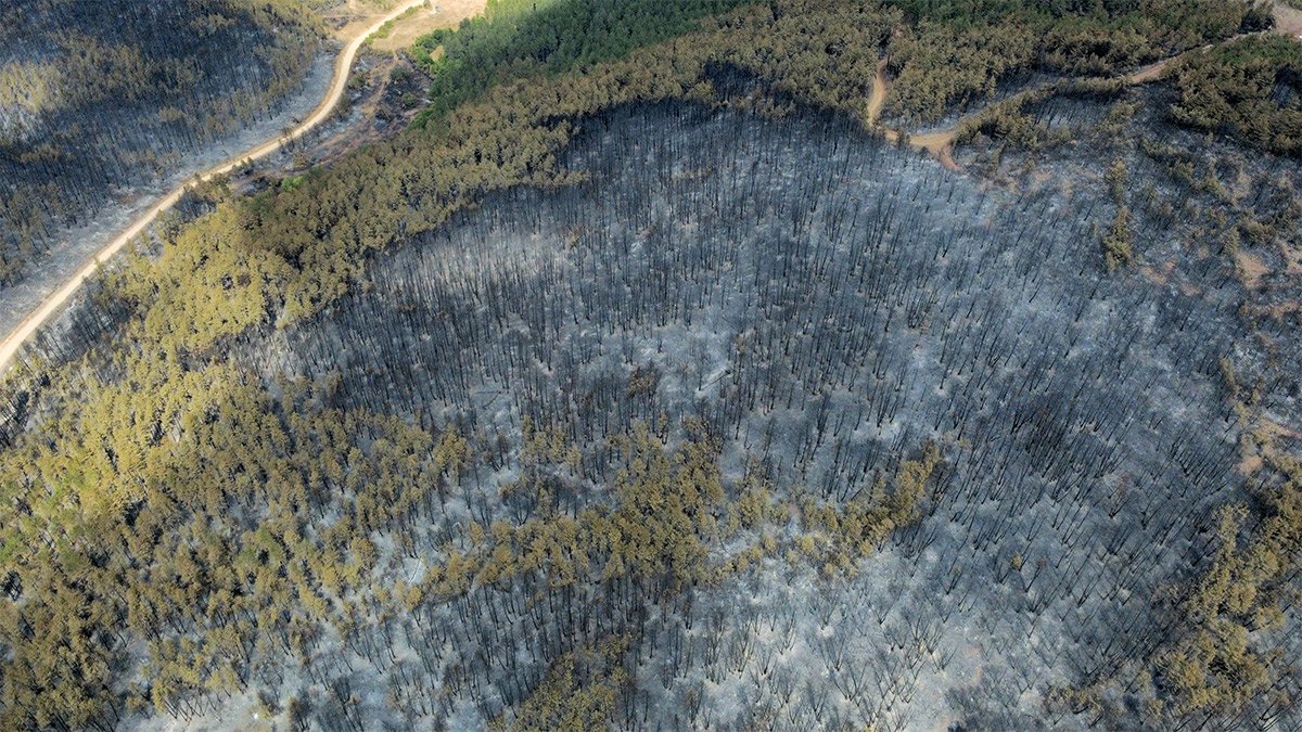 Karabük'teki yangın 4. gününde: Facianın boyutu havadan görüntülendi