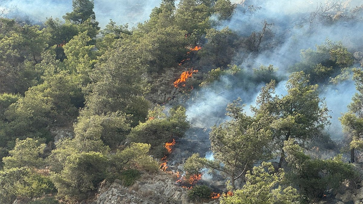Aydın Söke'de yangın! Müdahale sürüyor