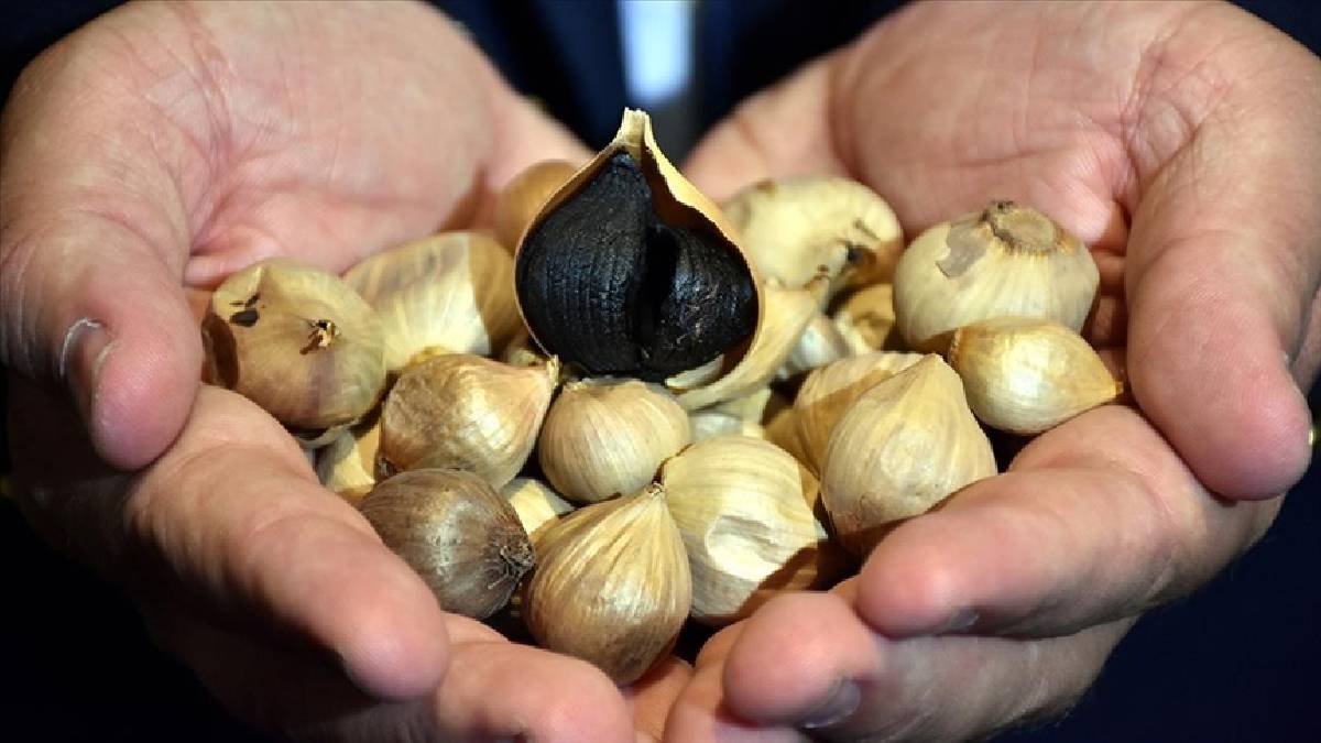 Sarımsağı siyaha dönüştürüyor, fiyatını katlıyorlar! Kilosu 25 liradan 95.000’e çıkıyor: Dünya sırada bekliyor