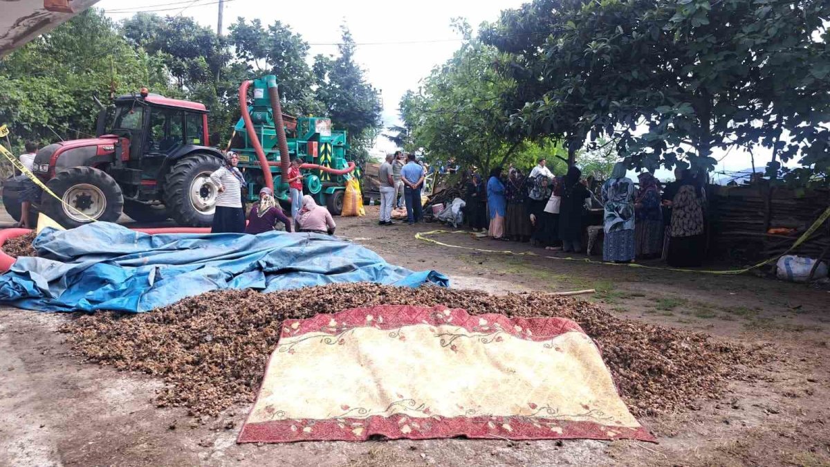 Ordu’da aileler arasında silahlı kavga: 2 kişi hayatını kaybetti