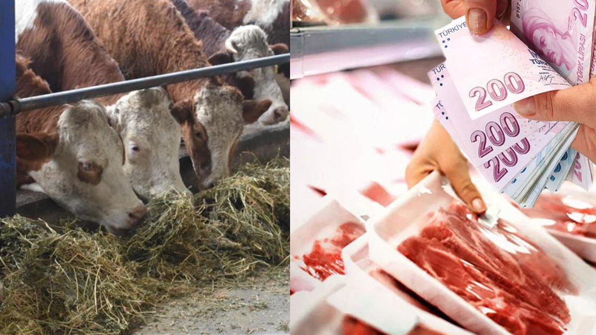 Kırmızı et üretiminde şap hastalığı alarmı: Kontrol altına alınmazsa fiyatlar artacak