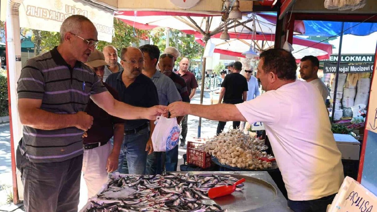 Sezon başladı esnaf coştu! Eskişehir’de 6 ton balık ücretsiz dağıtıldı: Üstelik her ay dağıtılacak