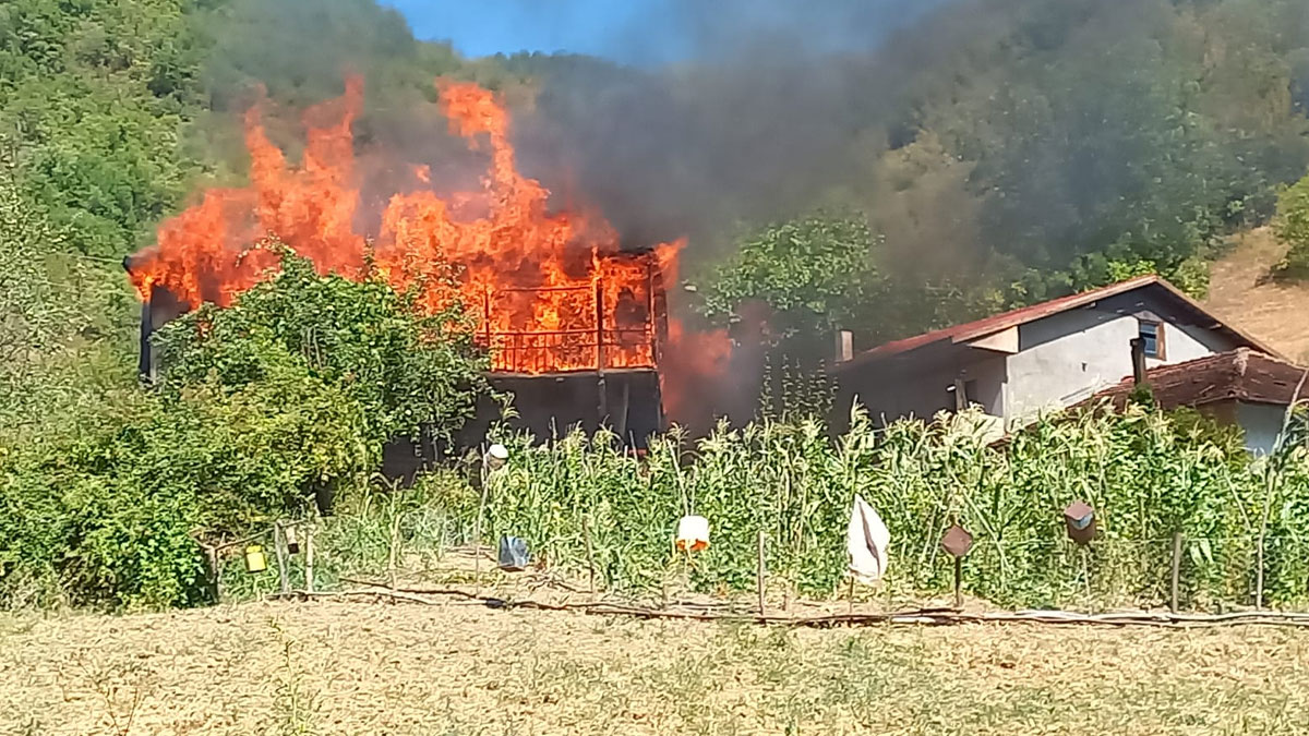 Bursa ve Karabük'te orman yangını