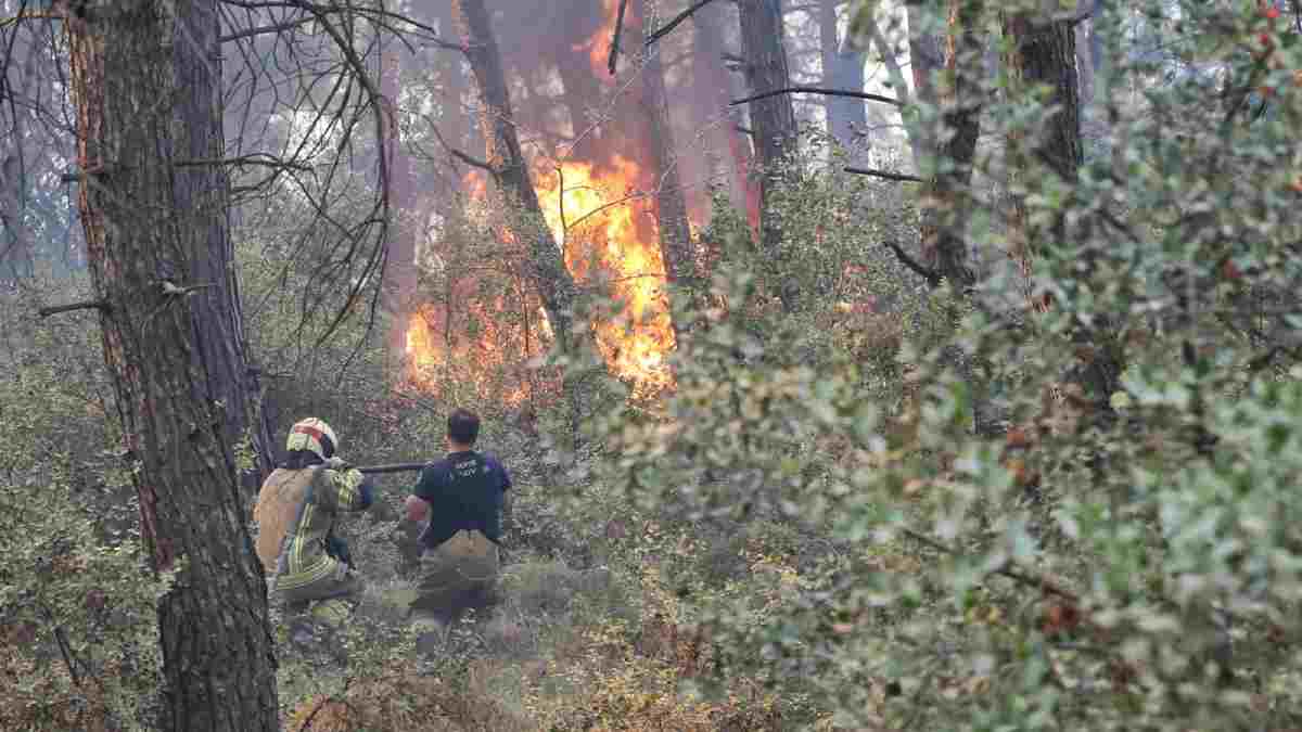 Büyükşehir’den Gündoğdu yangını seferberliği