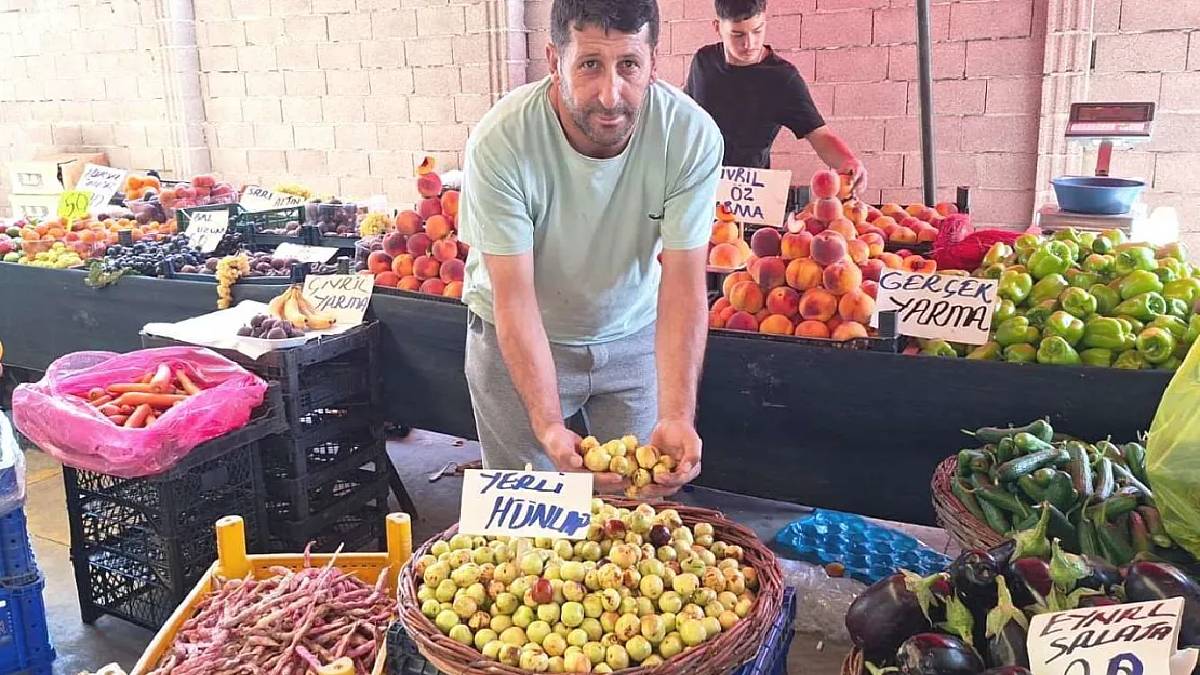 Çin alternatif tıpta kullanıyordu, tezgahta yerini aldı! Kilosu 125 TL’den satılıyor: Faydaları saymakla bitmiyor