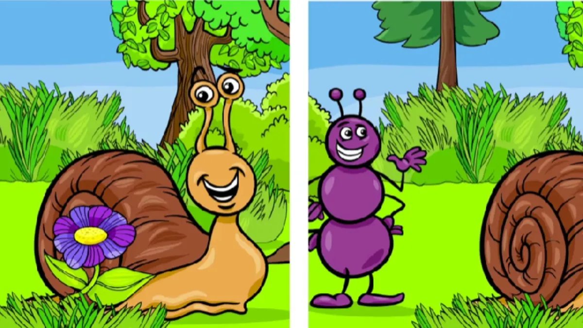 10 saniyede 5 farkı bul! Sadece sivri zekalılar bu testi geçebiliyor