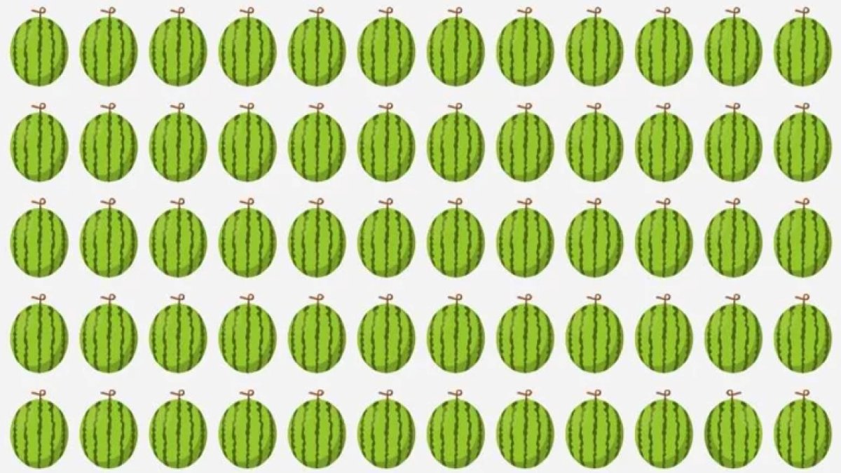 Sadece dahiler 6 saniyede fark ediyor: Bu karpuzlardan biri diğerlerinden farklı, bulabilir misiniz?