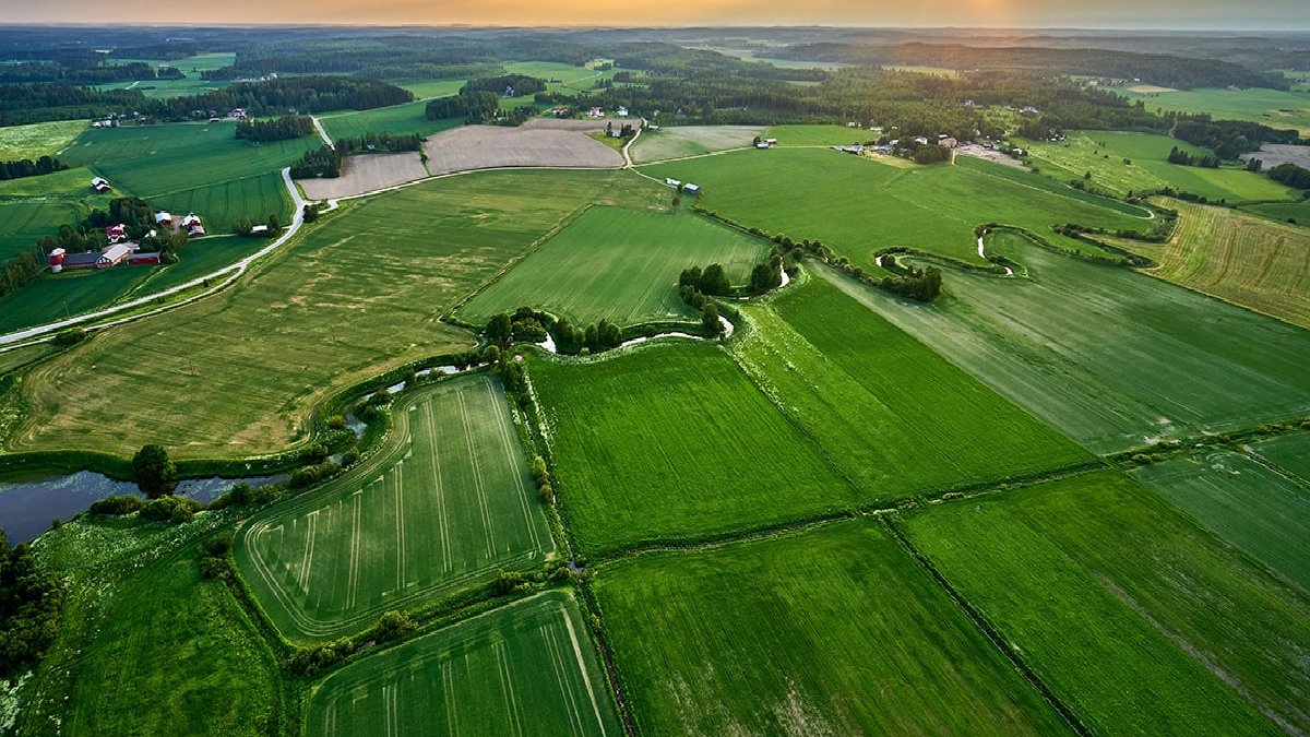 Buraya yatırım yapan kazancına kazanç ekliyor! En çok kazandıran arsalar açıklandı: Getirisi yüzleri güldürüyor