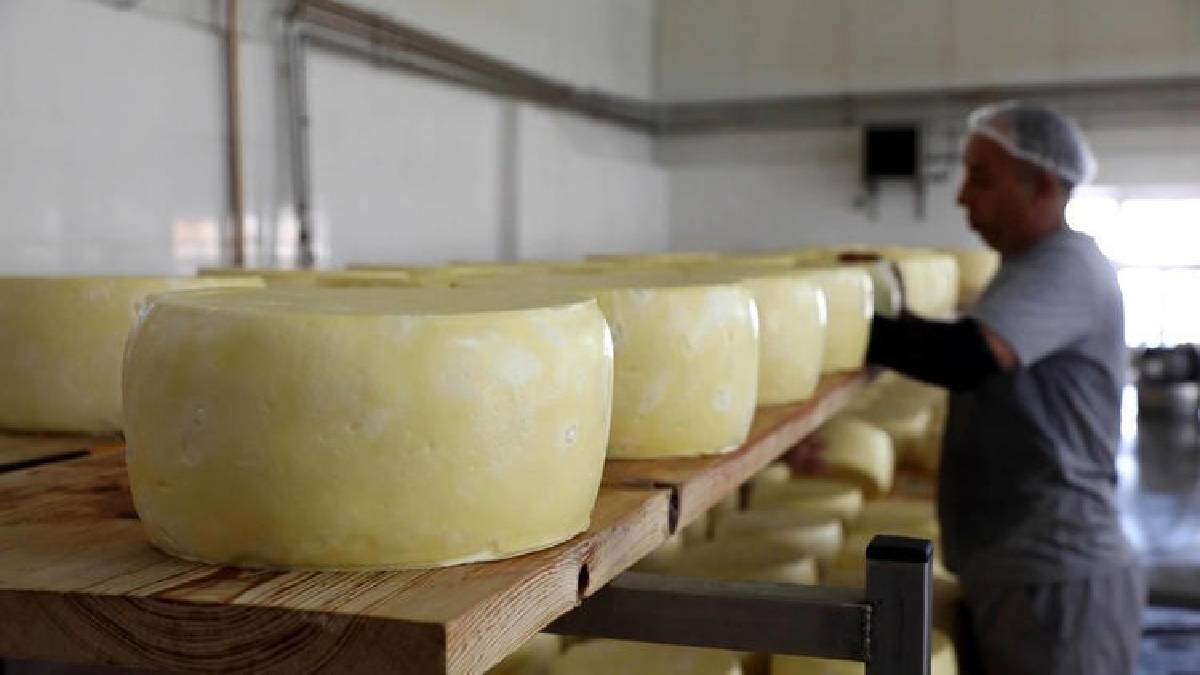 Türkiye’nin en önemli üretim merkezi! O ilde üretiliyor, 17 ülkeye ihraç ediliyor: Günde bin tonu buluyor