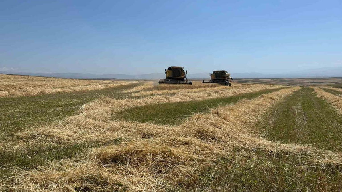 Kimse inanmadı, o inanılmazı başardı! Topraktan fışkırıyor, kimse gözlerine inanamıyor