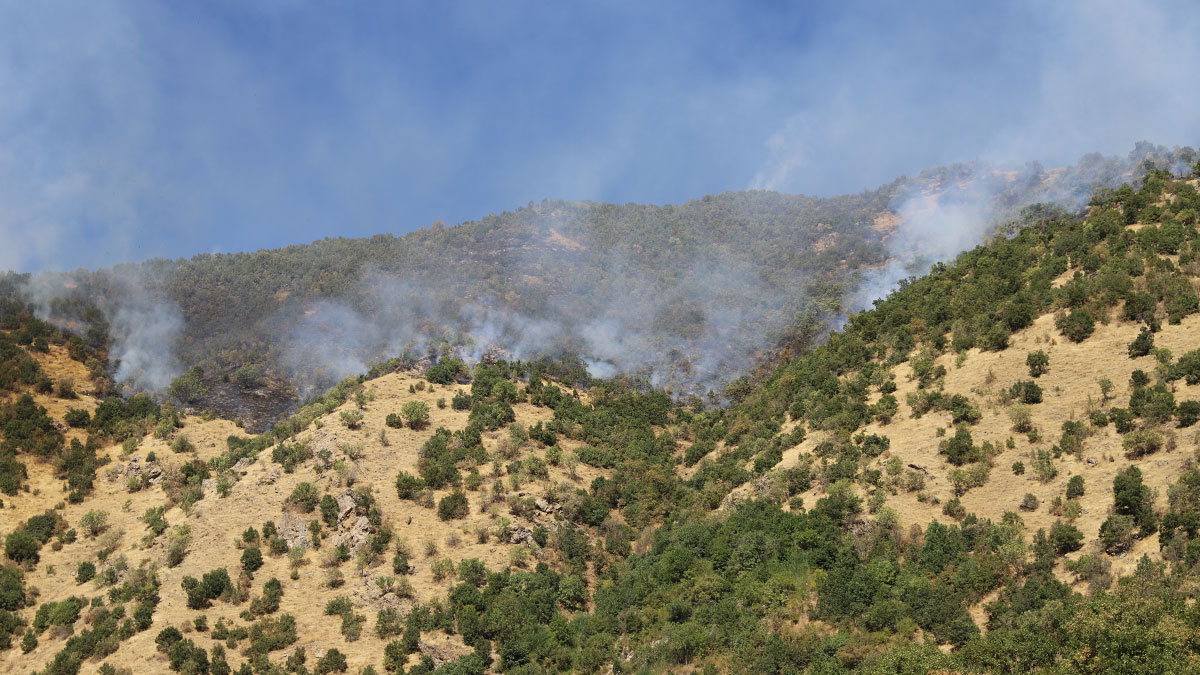 Hakkari'deki orman yangını 2'nci gününde