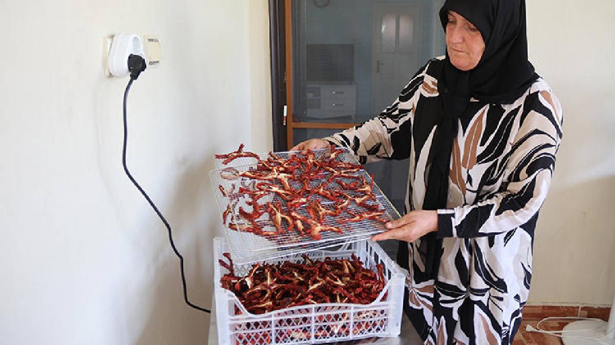 Yaşı 5-10 TL, kuruyunca 400-500 TL! Kadın çiftçilerin gelirini katlayan destek: Kurutma sistemi ceplerini güldürüyor