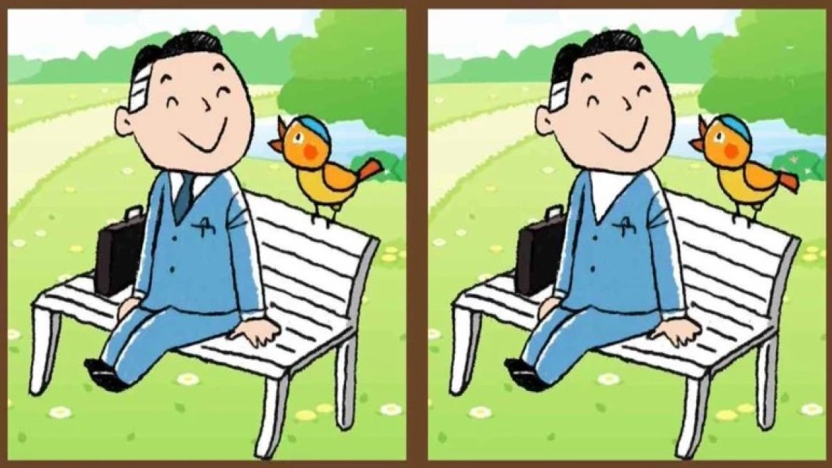 IQ seviyesi 130'un üzerinde olanlar! Parktaki adamın olduğu bu iki resim arasındaki 3 farkı 13 saniyede görebilir misiniz?