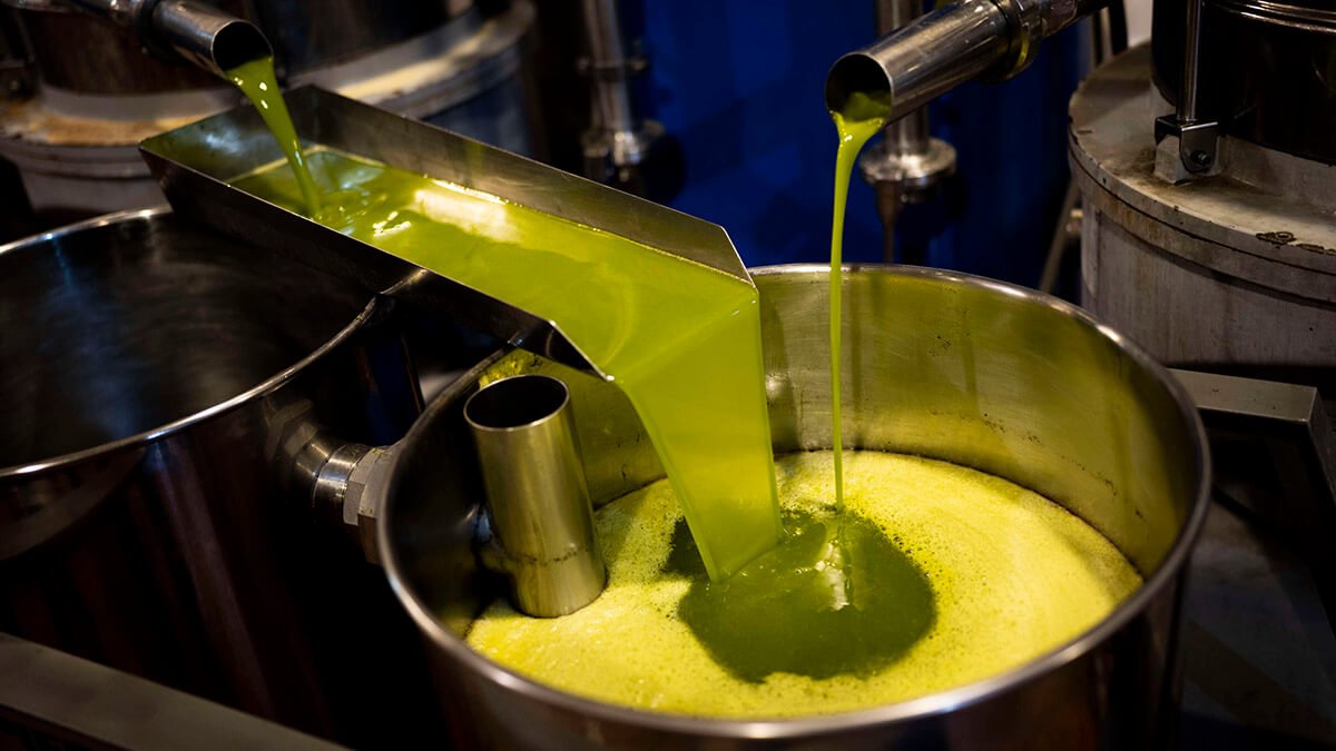 Zeytinyağı fiyatları hızla yükseliyor: "Yok yılı" endişesi artıyor