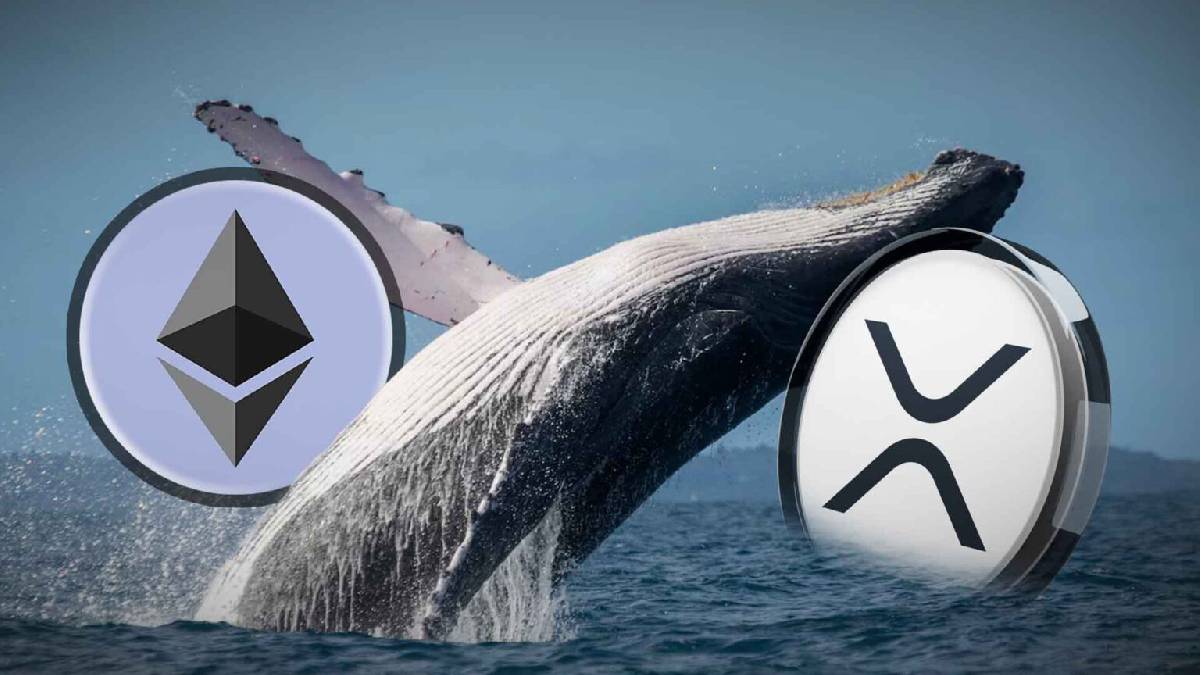Bitcoin, Ethereum ve XRP, balina satışlarının ardından eylülde kritik testte