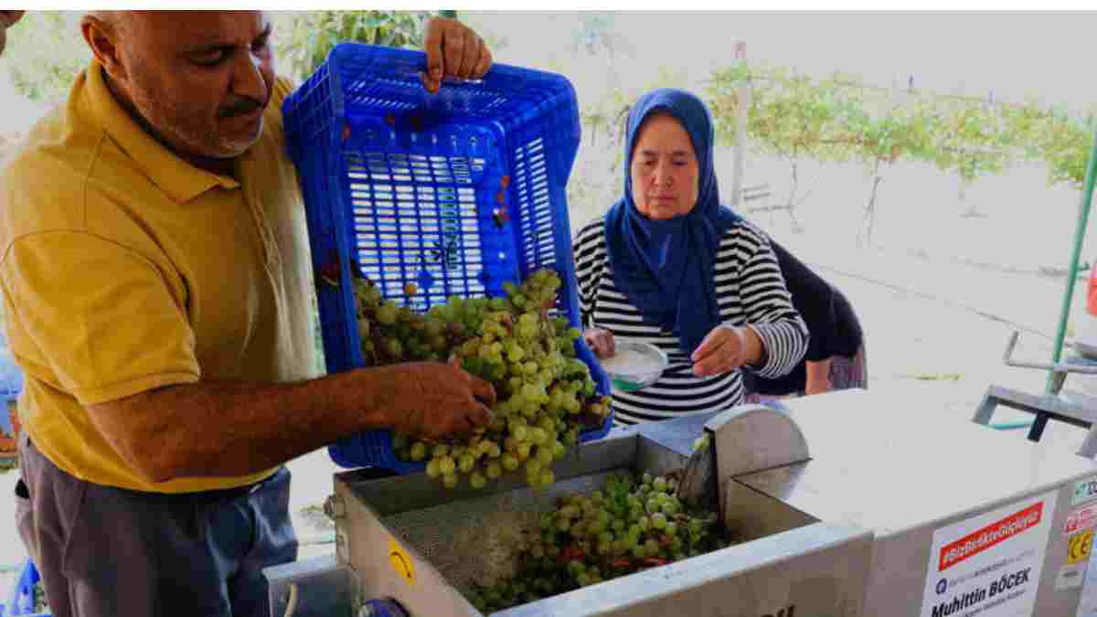 Büyükşehirden üzüm sıkma makinesi desteği: Üreticiler artık en az kayıpla kaliteli ürün elde edebilecek