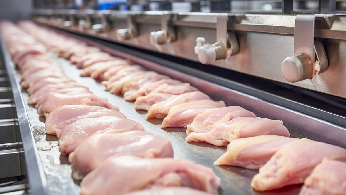 Beyaz et sektörü mercek altında: Rekabet Kurumu'ndan şirketlere soruşturma