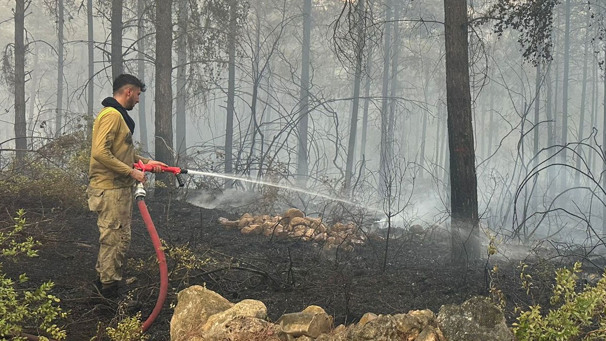 Osmaniye’de orman yangını