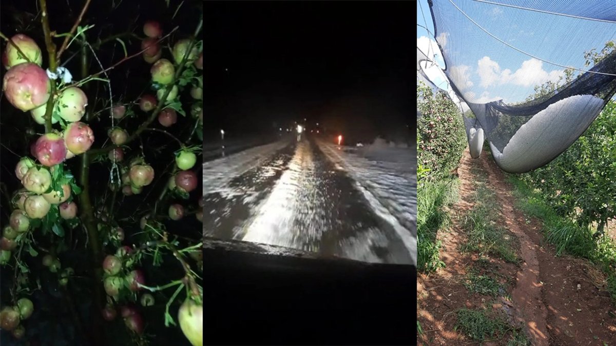 Isparta’da dolu yağışı elma bahçelerini vurdu: 170 milyon liralık hasar meydana geldi