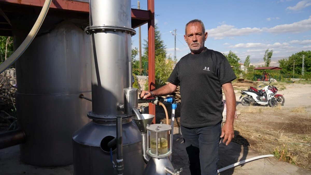 Atıl araziyi cennete çevirdi, şimdi çokça kazanıyor! Yağ, sabun, çay… Her alanda kullanılıyor, ekonomiyi kalkındırıyor