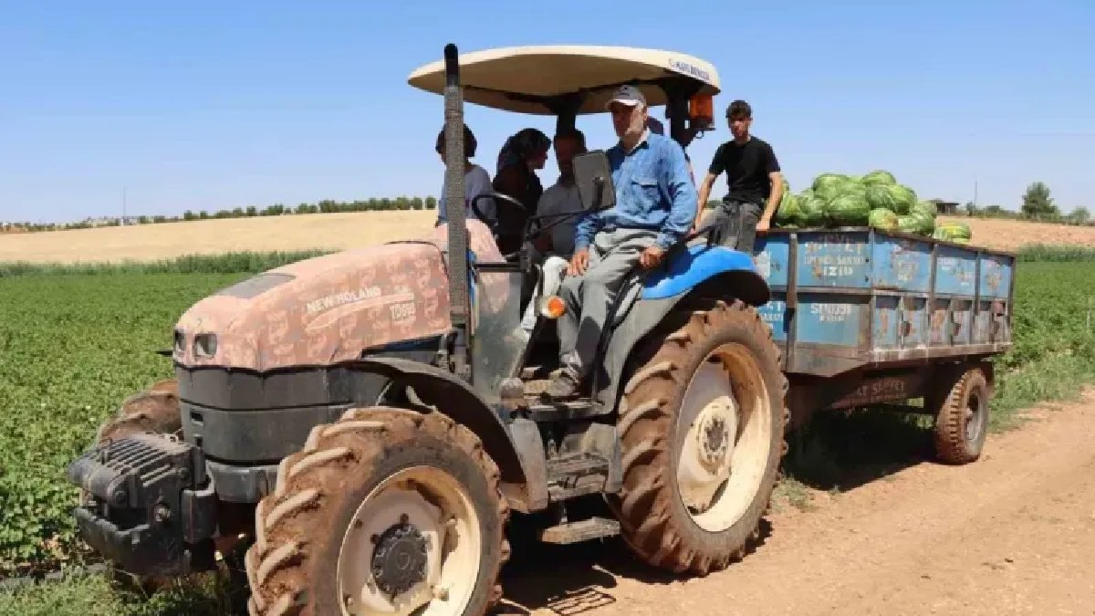Lezzeti dağlardaki kardan geliyor, yazın buz gibi tüketiliyor! Türkiye’nin en lezzetlisi o şehirde yetişiyor