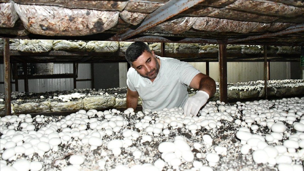 150 kişiye ekmek kapısı oluyor, köyünde işsizliği sonlandırıyor! İstanbul’dan işçi olarak geldi köyünde patron oldu