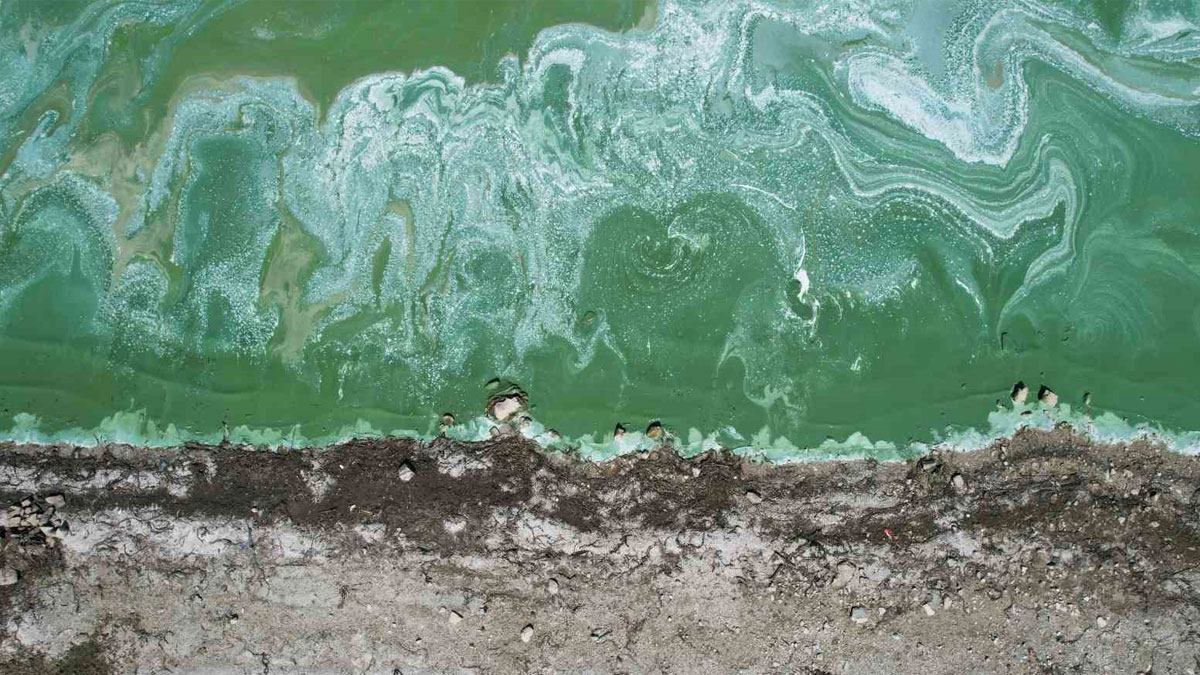 Terkos Gölü’nde yeşil tabaka ve köpük tedirginlik yarattı