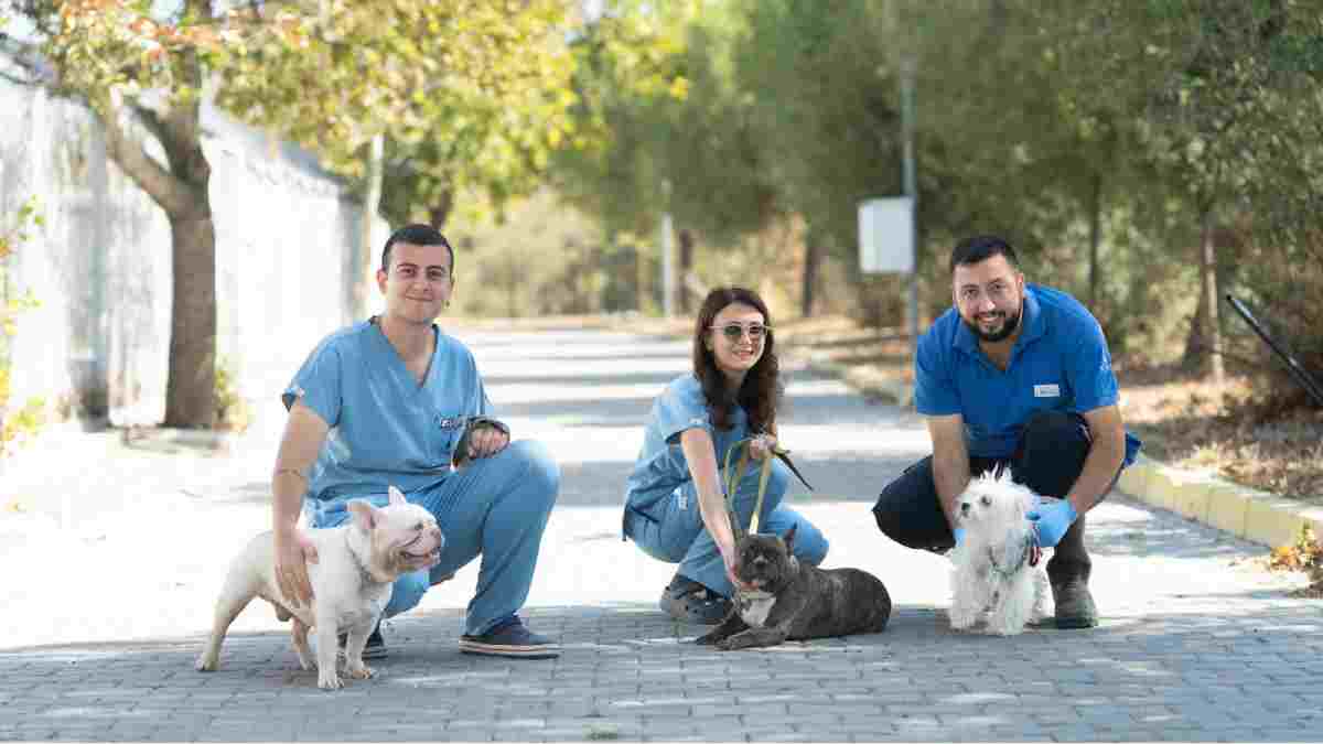İzmir’de el konulan 20 cins köpek Işıkkent Köpek Bakımevi’nde