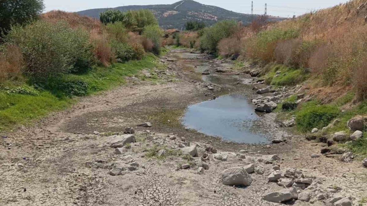 Bakırçay Ovası’nı kuraklık vurdu