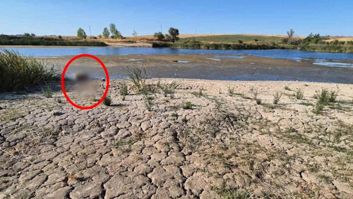 Kuraklığın boyutu gözler önüne serildi! Sular çekildi, toprak çatladı: Göletin dibinden koltuk çıktı