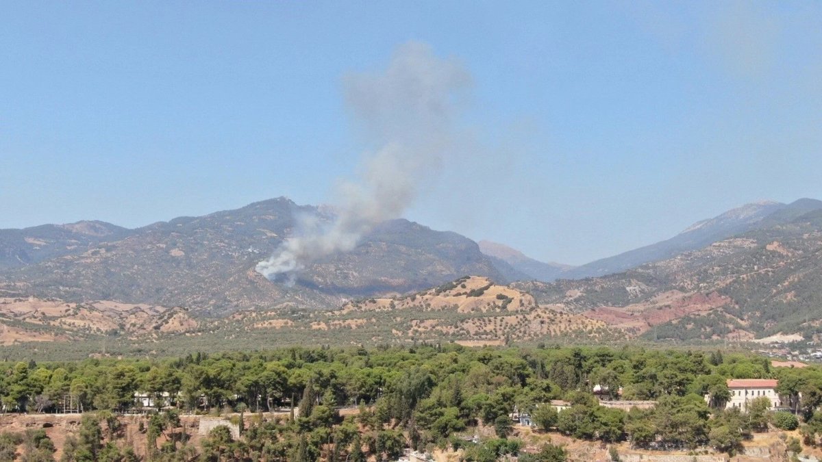 Aydın'da zeytinlik yangını: Müdahale sürüyor