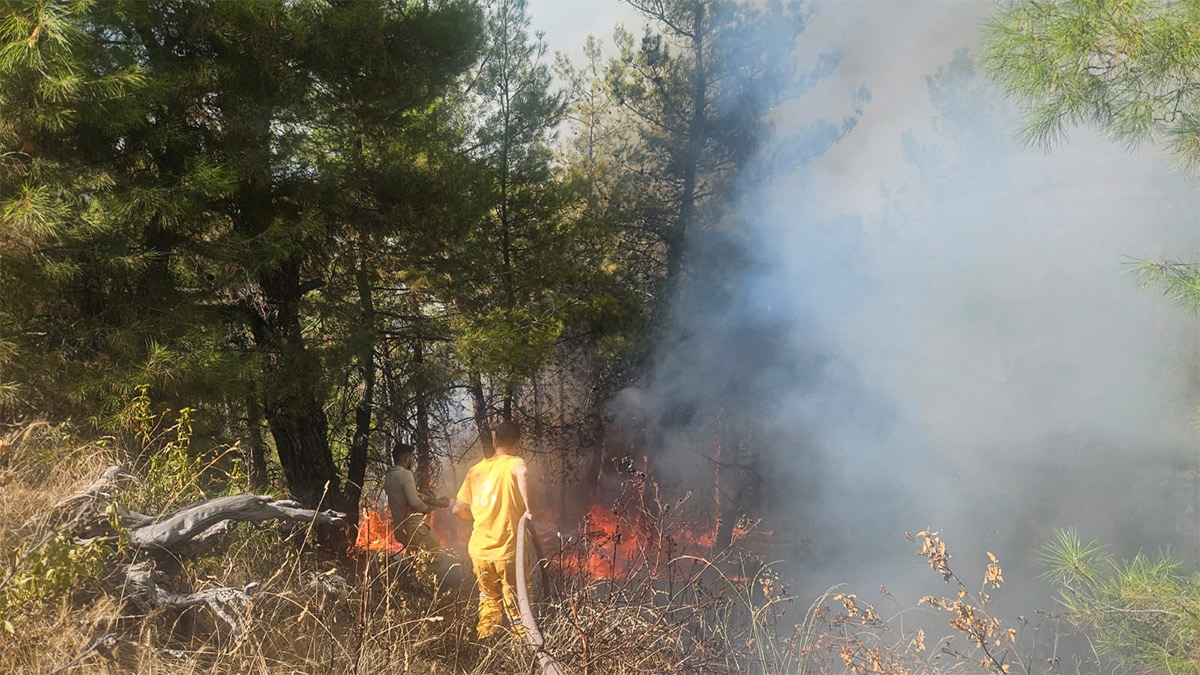 Denizli'de orman yangını! Müdahale sürüyor