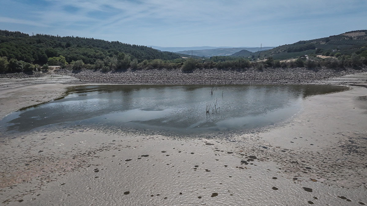 Çınarlı Göleti kuruyor: 42 yıllık su kaynağı ekolojik çöküşle karşı karşıya