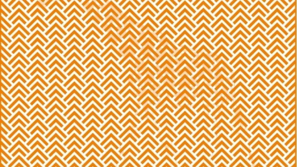 Akıl oyunları başladı: Bu resimdeki hayvanı görmek için farklı bakış açınızı değiştirin! 15 saniyeniz başlıyor