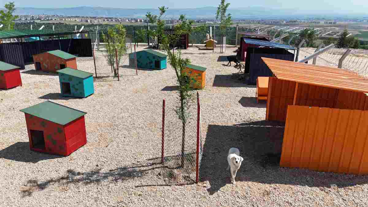 Büyükşehir Belediyesinden can dostlar için anlamlı kampanya