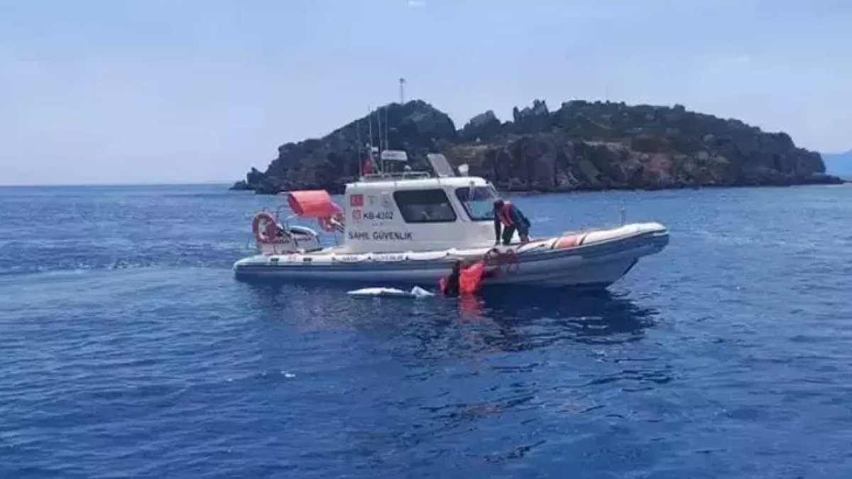 Bodrum'da kaçak göçmen operasyonu: İki düzensiz göçmen yüzerek kaçmaya çalışırken yakalandı