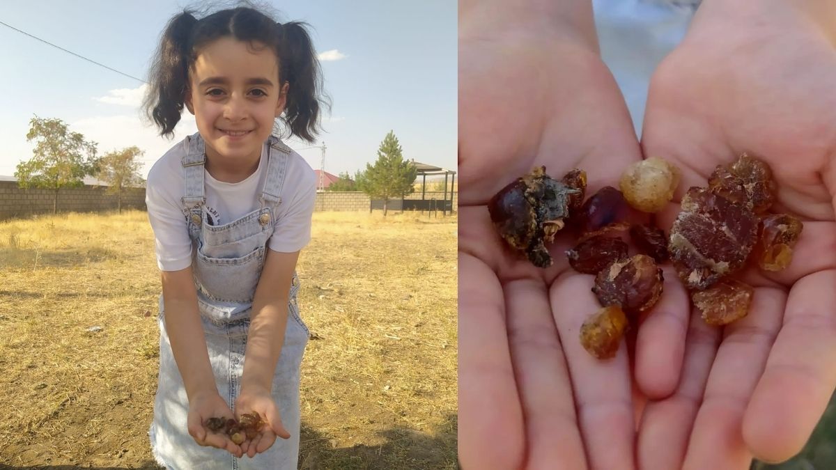Yerel halk bu şifa kaynağını unutmadı! Oraya giden herkes keşfediyor: Gelenek yeniden canlanıyor