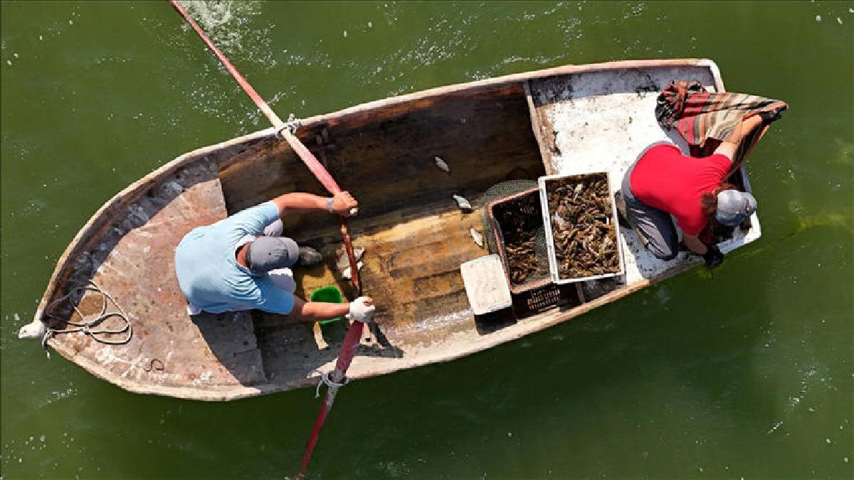Karı-koca 20 yıldır el ele ağları denizle buluşturuyor! Avları günlük 10 kiloyu buluyor: Kadınlar meslekte öne çıkıyor
