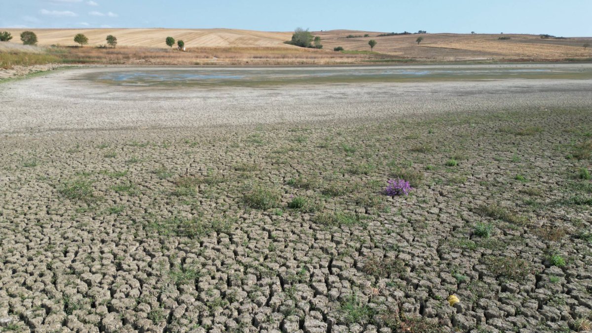Kuraklık Tekirdağ'ı vurdu: Yeşilsırt Göleti kuruma noktasında