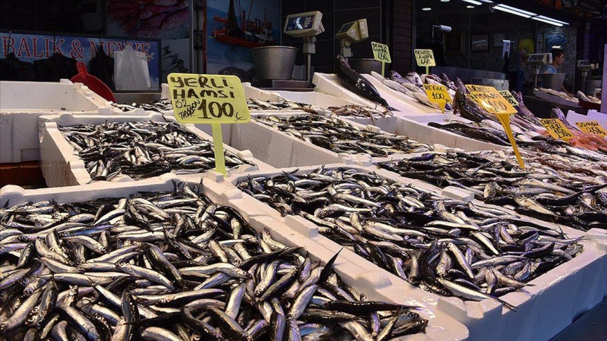 Trabzon'da hamsi bereketi! Palamut yok ama tezgahların kralı hamsinin kilosu 100 liraya düştü
