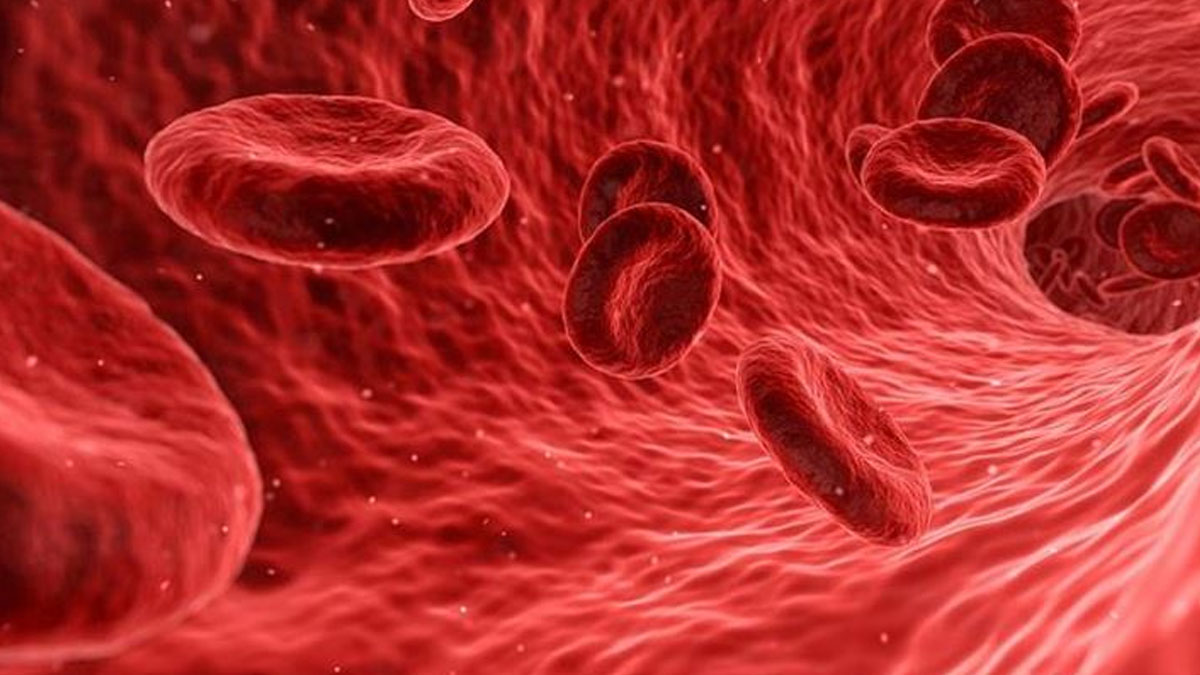 Kısa sürede hayati riske yol açabiliyor: Sepsis her yıl 11 milyon can alıyor