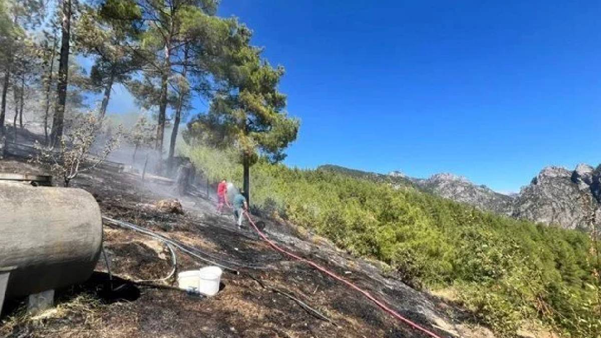 Adana'da orman yangını: Müdahale sürüyor