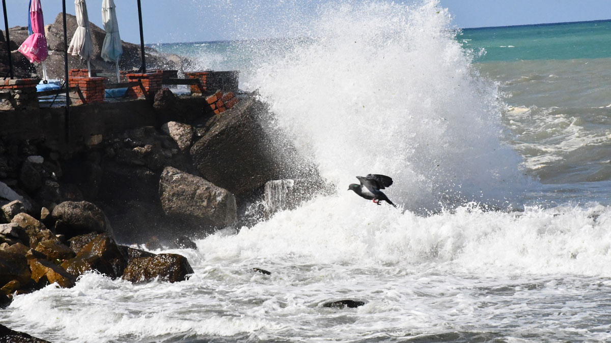 Düzce'de denize girişler yasaklandı: Dalga boyu 3 metreye ulaştı