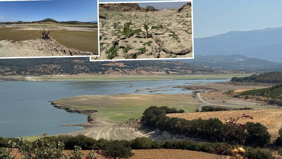 Çanakkale'de 'olağanüstü' kuraklık: 'Yarın, bugünden daha kötü gelecek' uyarısı yapıldı