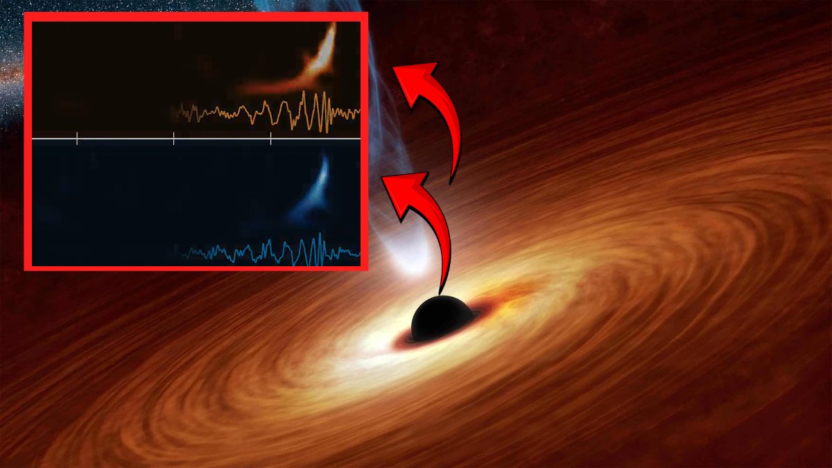 Tarihte bir ilk! Bilim insanları, çarpışan iki kara deliğin sesini kaydetti