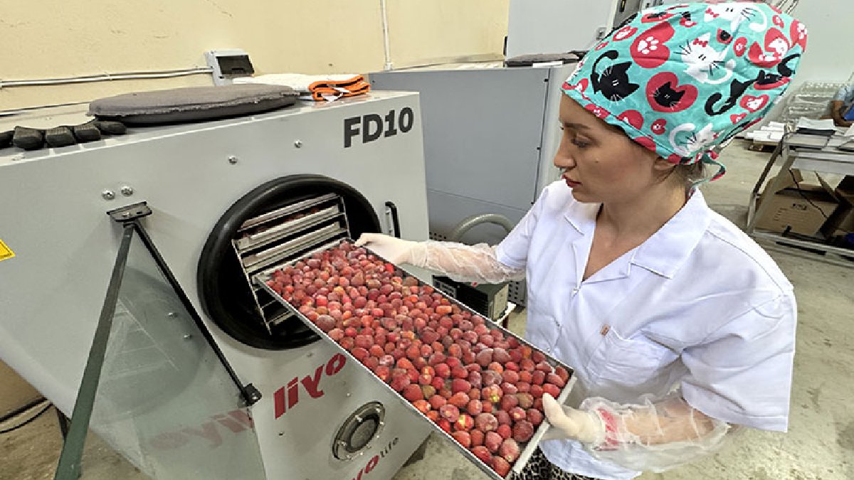 Ürünleri elinde kalınca kafayı kullandı, tazesinden daha çok kazandı! Şimdi 20 ülkeye gönderiyor